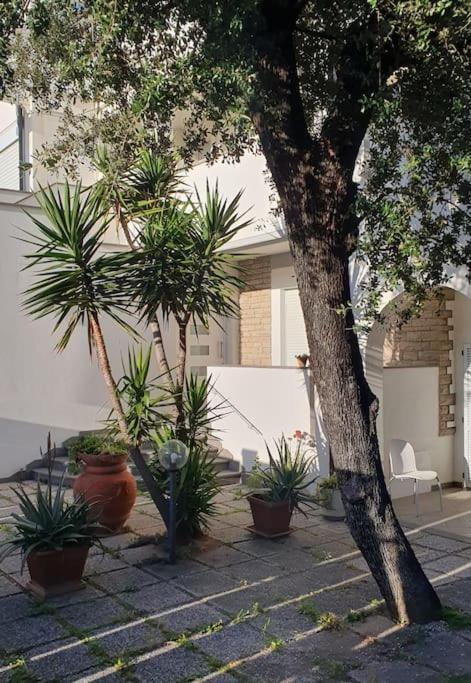 Lecci Al Mare Appartement San Vincenzo Buitenkant foto