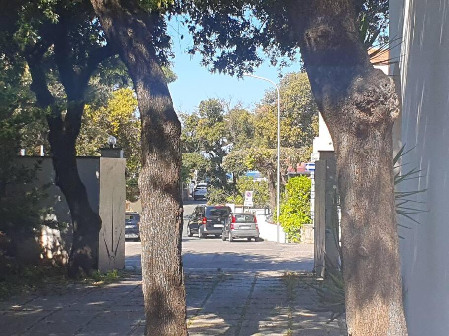 Lecci Al Mare Appartement San Vincenzo Buitenkant foto